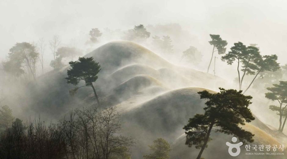 안개 속 지산동 고분군 봉분과 소나무