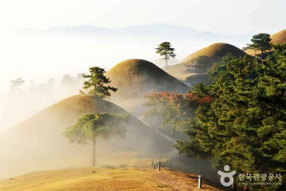 안개 낀 지산동 고분군 봉분