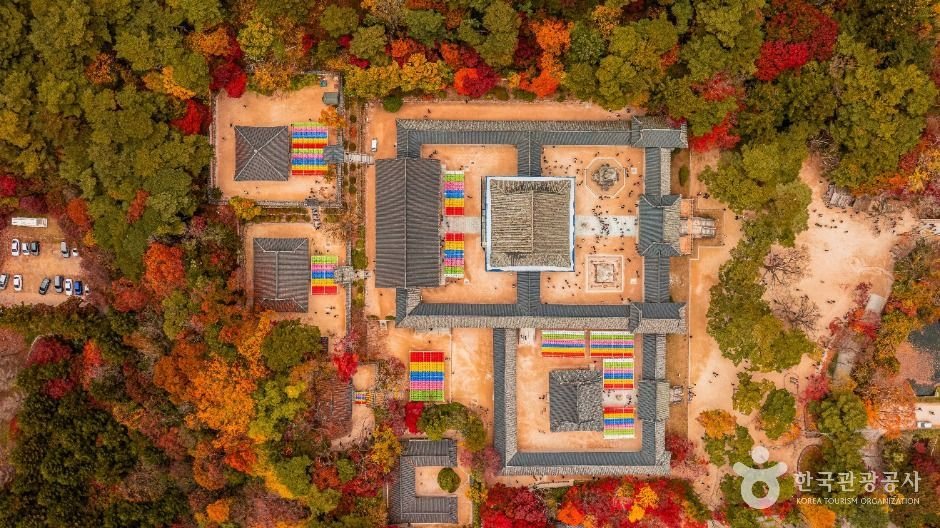 불국사 항공사진, 가을 단풍