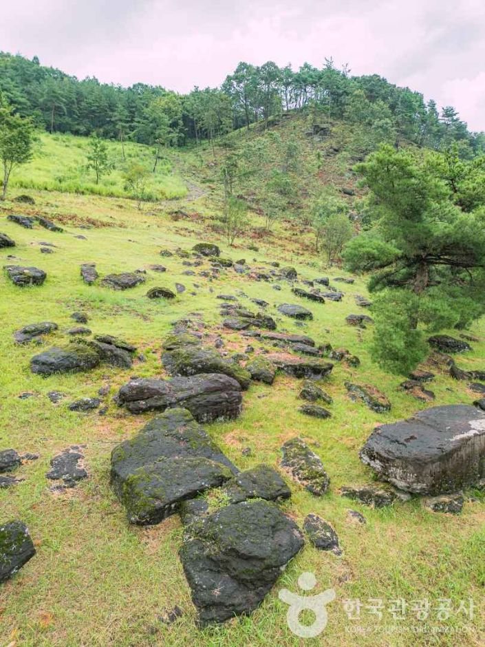 화순 고인돌 무리