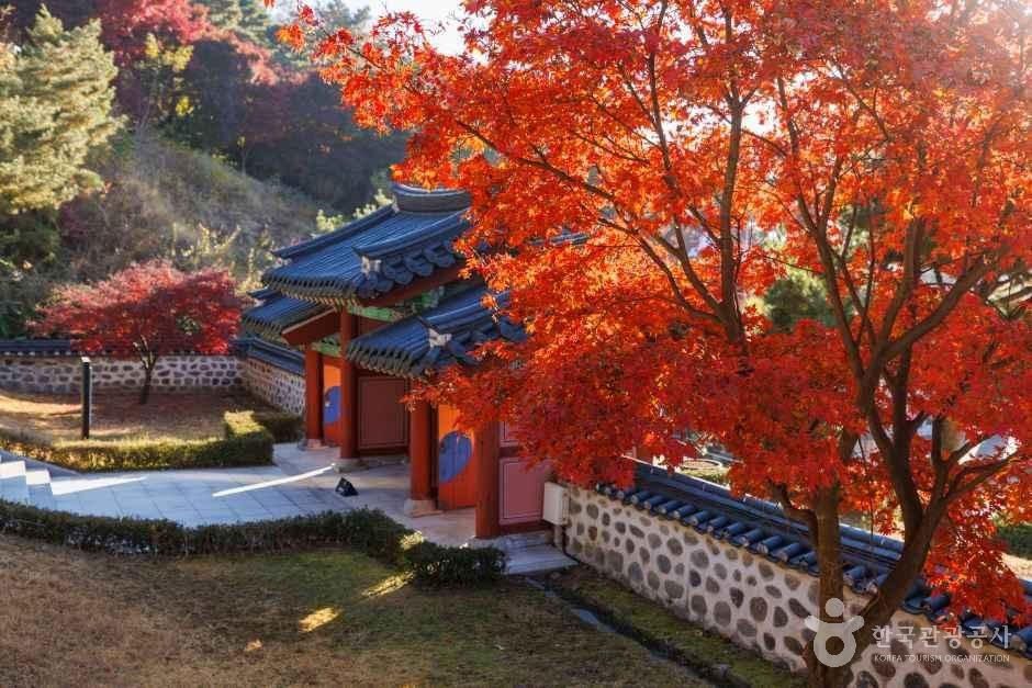 안성3·1운동기념관 단풍