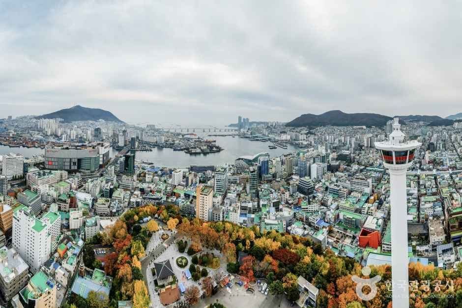 용두산공원 부산타워와 원도심