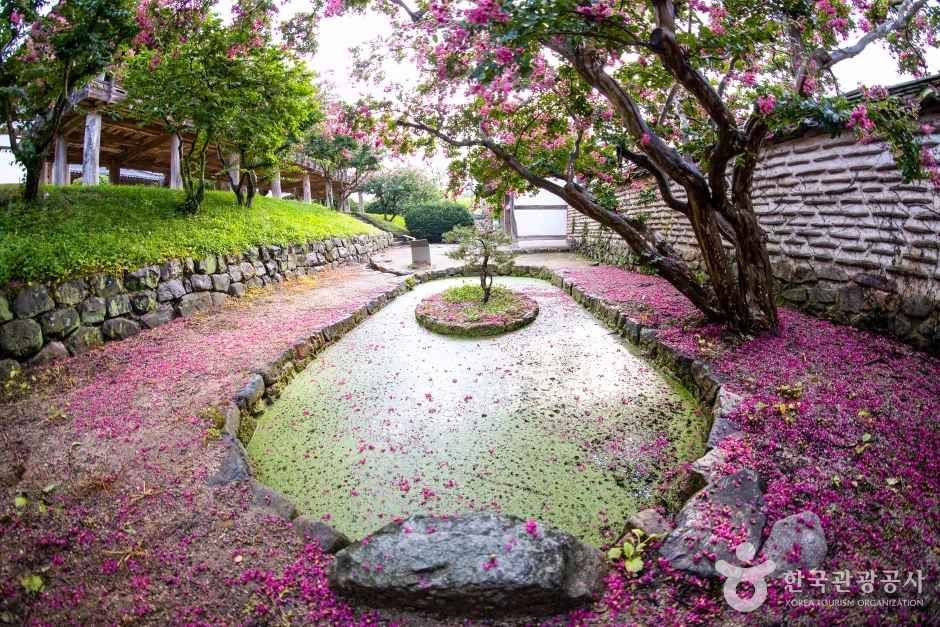 배롱나무 꽃잎이 덮인 병산서원 연못