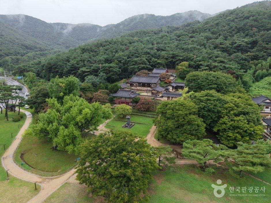 도동서원과 은행나무 항공사진
