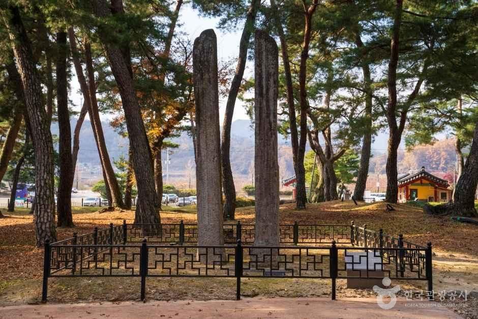 소수서원 입구 솔숲과 숙수사지 당간지주