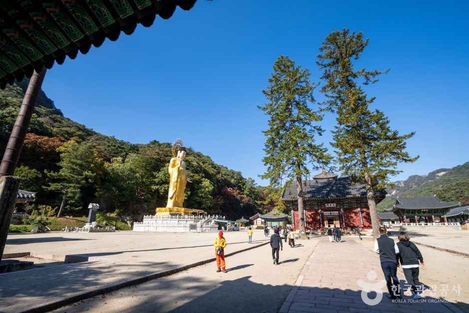 법주사 경내와 금동미륵대불