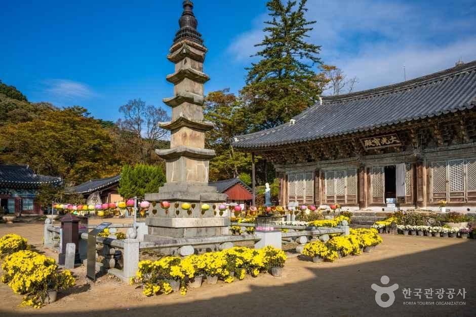 마곡사 오층석탑과 대광보전