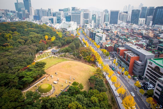 강남 도심 속 선정릉 항공사진